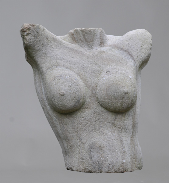 Torso