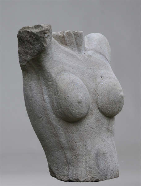 Torso