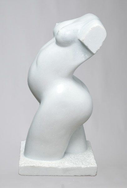 Torso 8