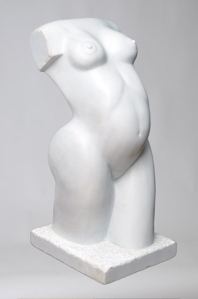 Torso 8